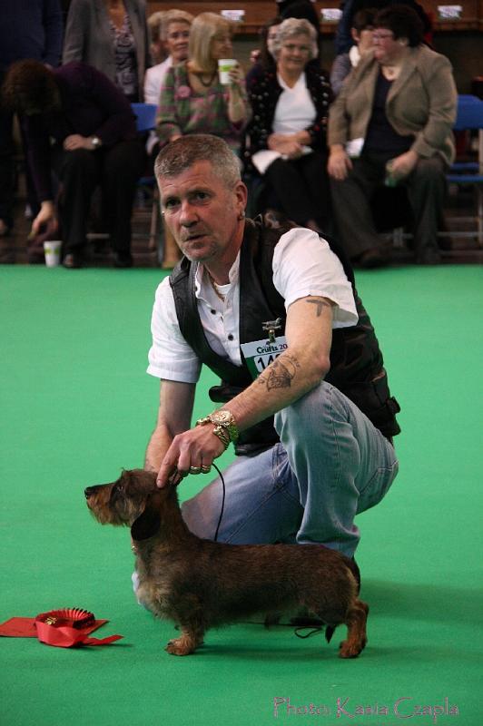 Crufts2011_2 708.jpg